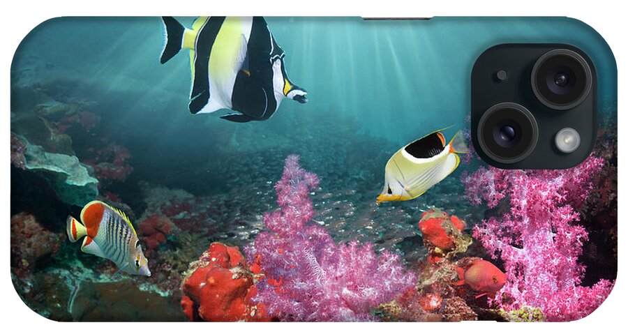 Tranquility iPhone Case featuring the photograph Coral Reef Scenery #58 by Georgette Douwma