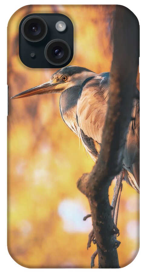 Heron iPhone Case featuring the photograph Grey Heron - Ardea cinerea #10 by Marc Braner