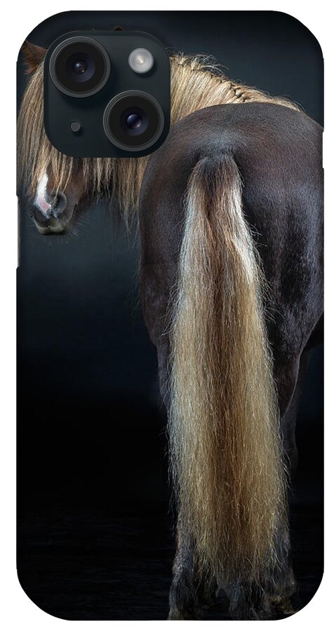 Alertness iPhone Case featuring the photograph Portrait Of Icelandic Horse, Iceland #6 by Arctic-images