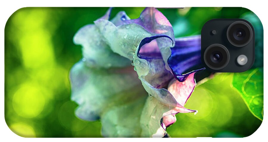 Brugmansia iPhone Case featuring the photograph Purple Trumpet Flower #6 by Raul Rodriguez