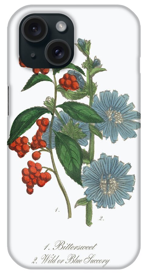 White Background iPhone Case featuring the digital art Victorian Botanical Illustration Of #6 by Bauhaus1000