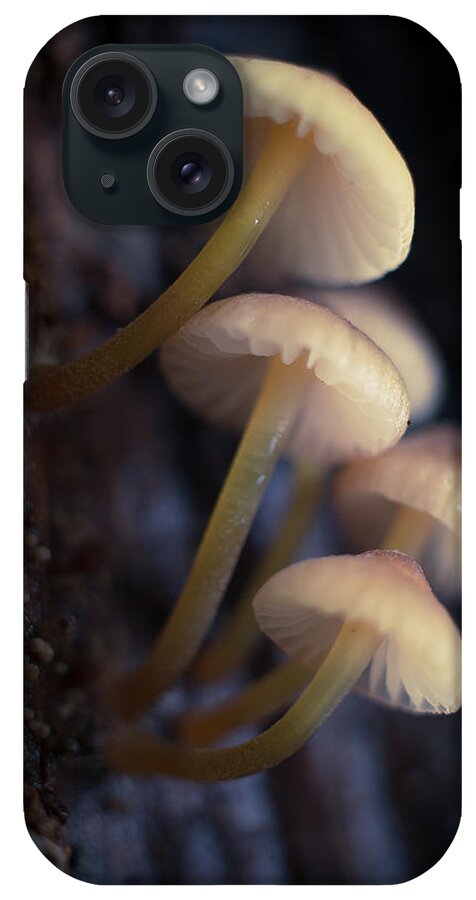 Male iPhone Case featuring the photograph A Mushroom Group In Nature #7 by Cavan Images