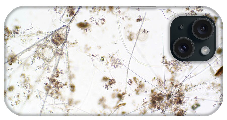 Animal iPhone Case featuring the photograph Marine Plankton #7 by Choksawatdikorn / Science Photo Library