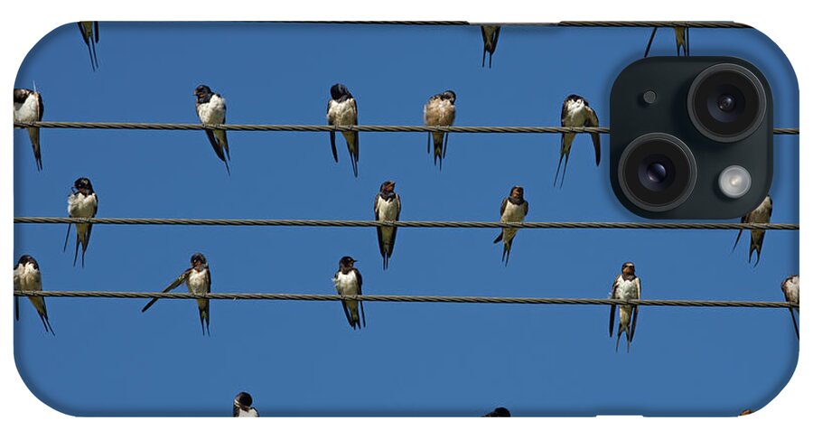 Barns (european) Swallow (hirundo Rustica) On Wire iPhone Case featuring the photograph 743-680 by Robert Harding Picture Library