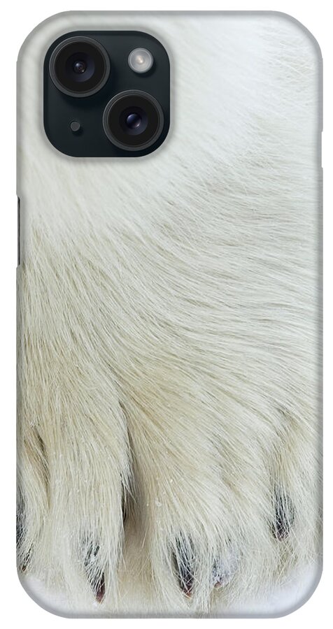 Polar Bear (ursus Maritimus) iPhone Case featuring the photograph 748-802 by Robert Harding Picture Library