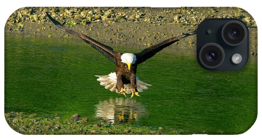  Hood iPhone Case featuring the photograph A Bald Eagle catches a fish by Gary Langley