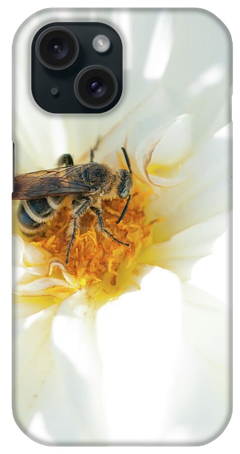 Chrysanthemum iPhone Case featuring the photograph A Bee On Chrysanthemum Flower by Toshiro Shimada