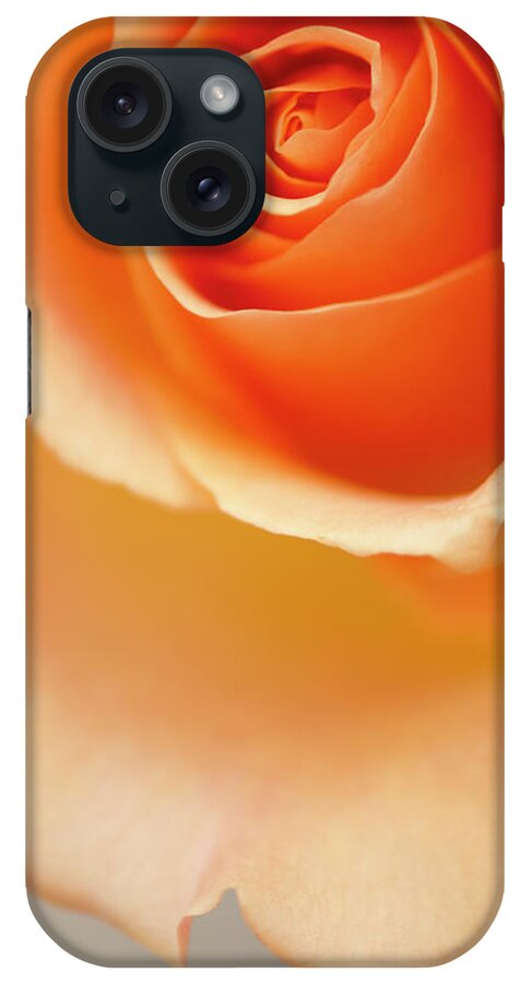 Rockville iPhone Case featuring the photograph A Close-up Of Peach Rose Flower by Maria Mosolova