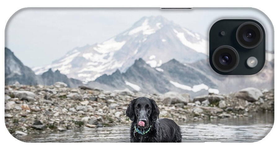 Dog iPhone Case featuring the photograph A Dog Cools Down In An Alpine Lake While Hiking. by Cavan Images