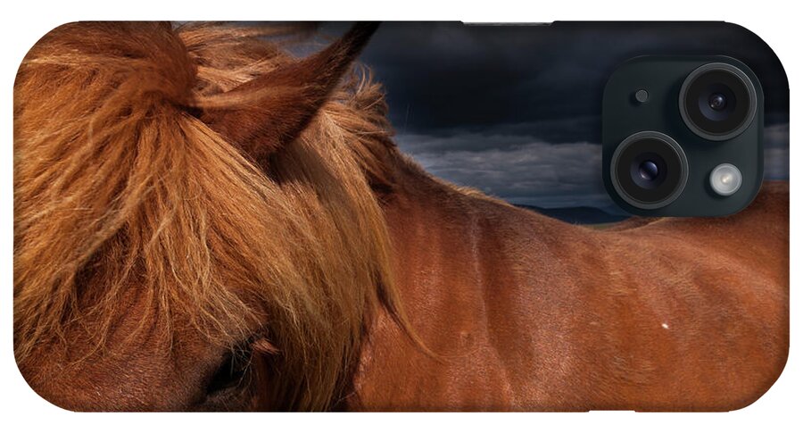 Horse iPhone Case featuring the photograph A Dun Coloured Icelandic Horse With A by Mint Images - Art Wolfe