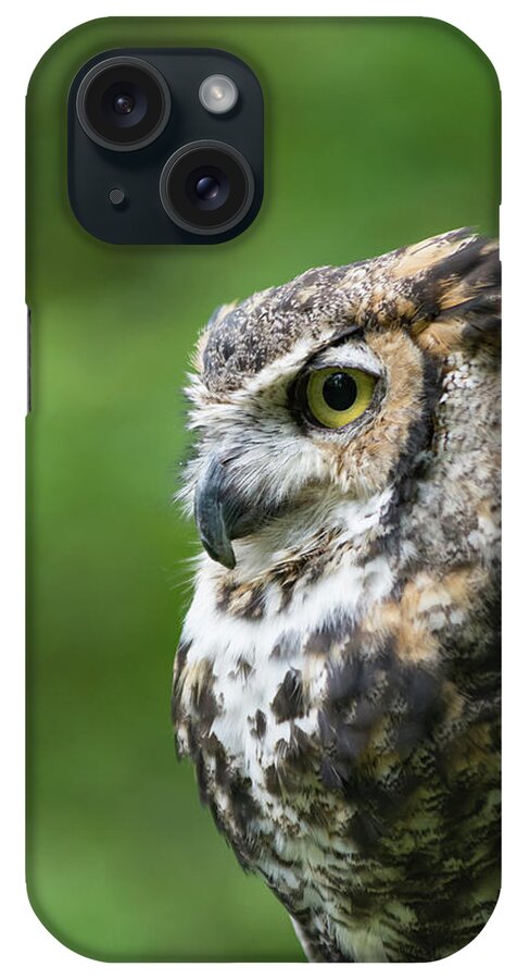 Great Horned Owl iPhone Case featuring the photograph A Great Horned Owl in Profile - Vertical by Liz Albro
