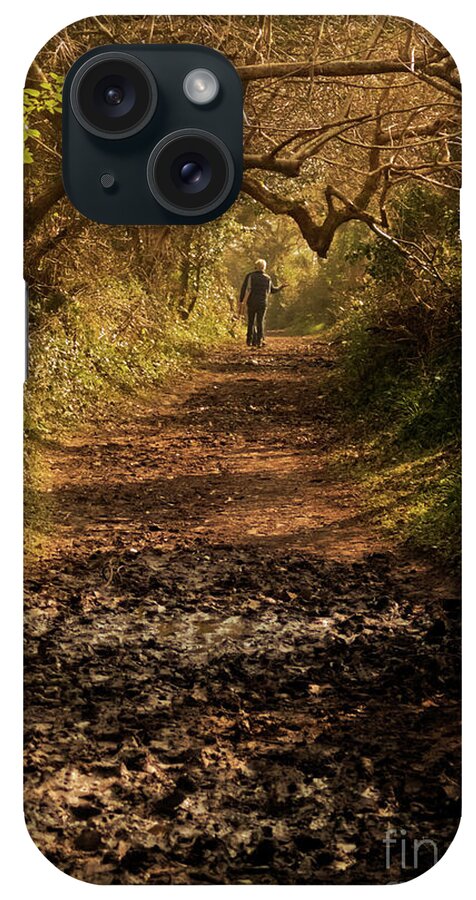 Tree Tunnel iPhone Case featuring the photograph A Late Winter Walk by Terri Waters