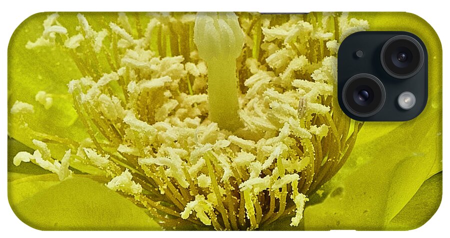 Yellow iPhone Case featuring the photograph A Look Inside a Cactus Flower by L Bosco