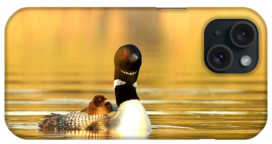 Loon iPhone Case featuring the photograph A mid morning summer dream by Heather King