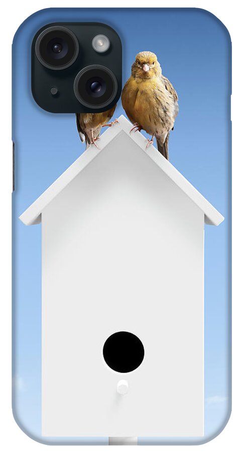 Animal Themes iPhone Case featuring the photograph A Pair Of Birds Sat Close Together On by Pier