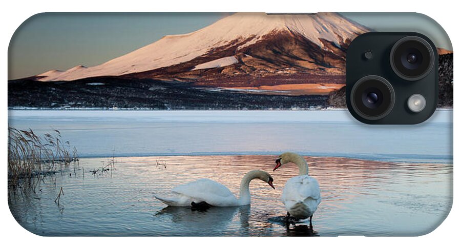 Vertebrate iPhone Case featuring the photograph A Pair Of Mute Swans In Lake Kawaguchi by Mint Images - Art Wolfe