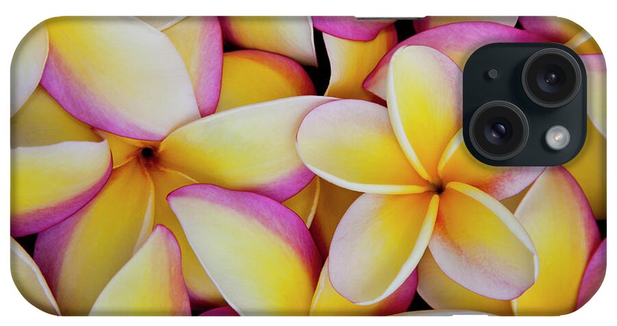 Petal iPhone Case featuring the photograph A Pattern Of Pulmeria Or Frangipani by Darrell Gulin