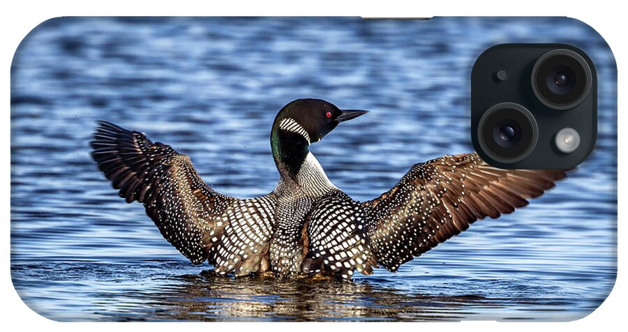 Common Loon iPhone Case featuring the photograph A primping Loon in mating colors by Al Mueller