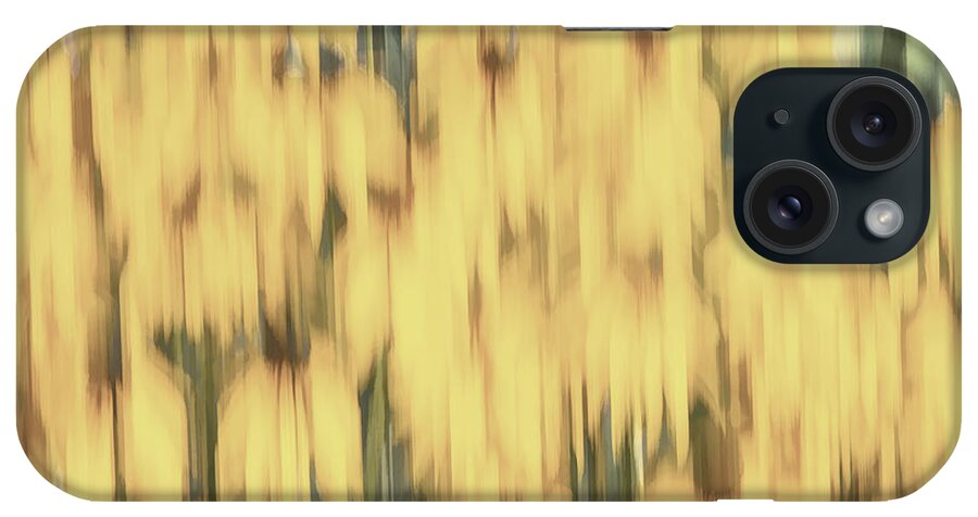 Sunflowers iPhone Case featuring the photograph Abstract Rudbeckia 2018-2 by Thomas Young