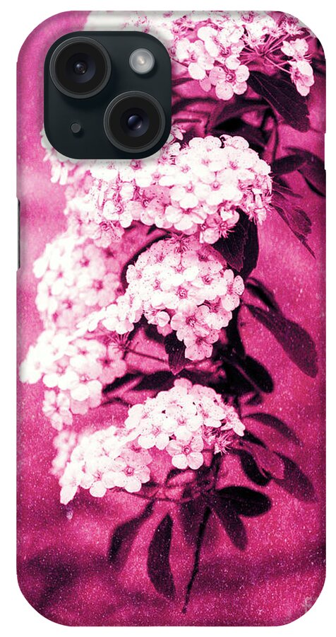 Spirea iPhone Case featuring the photograph Abstract Spirea Cascade in Red by Anita Pollak