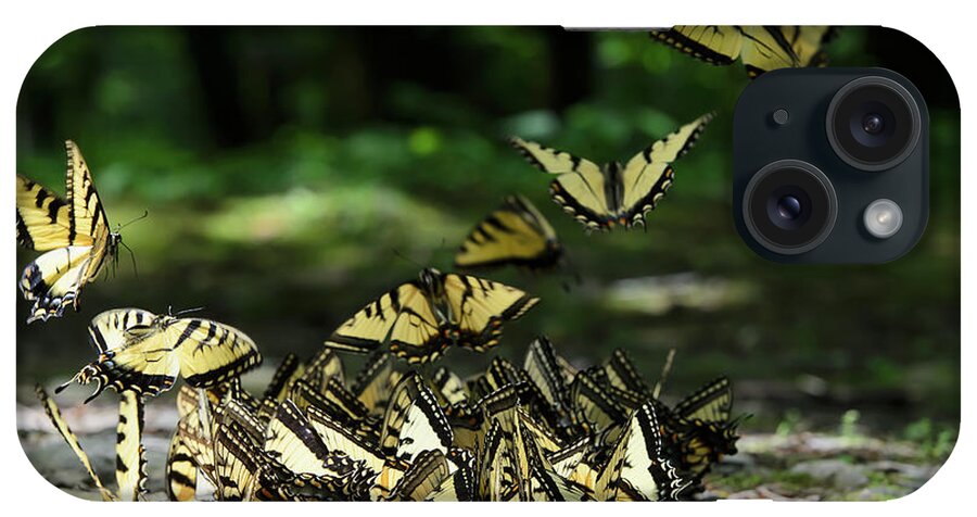 Insect iPhone Case featuring the photograph Abundance Of Eastern Tiger Swallowtail by Tom Patrick / Design Pics