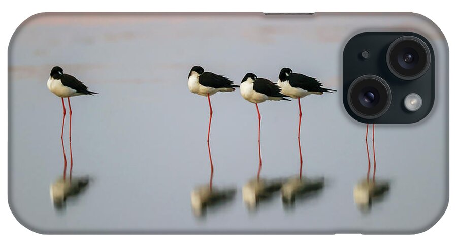Adam Jones iPhone Case featuring the photograph Adam Jones,bird,black-necked by Adam Jones