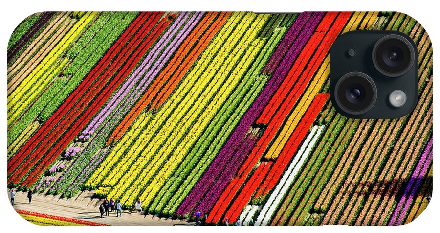 Scenics iPhone Case featuring the photograph Aerial View Of Tulip Fields by Pete Saloutos
