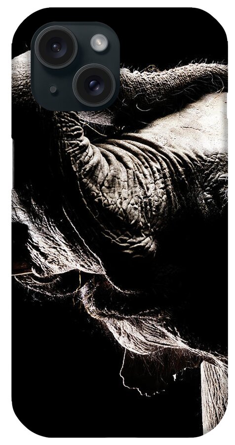 Animal Trunk iPhone Case featuring the photograph African Elephant With The Trunk Raised by Henrik Sorensen
