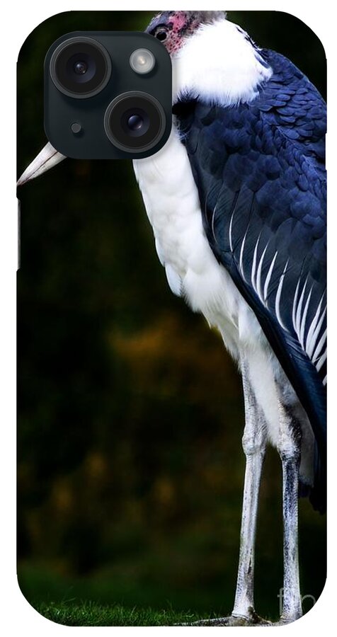 Bird iPhone Case featuring the photograph African Marabou Stork by Elaine Manley