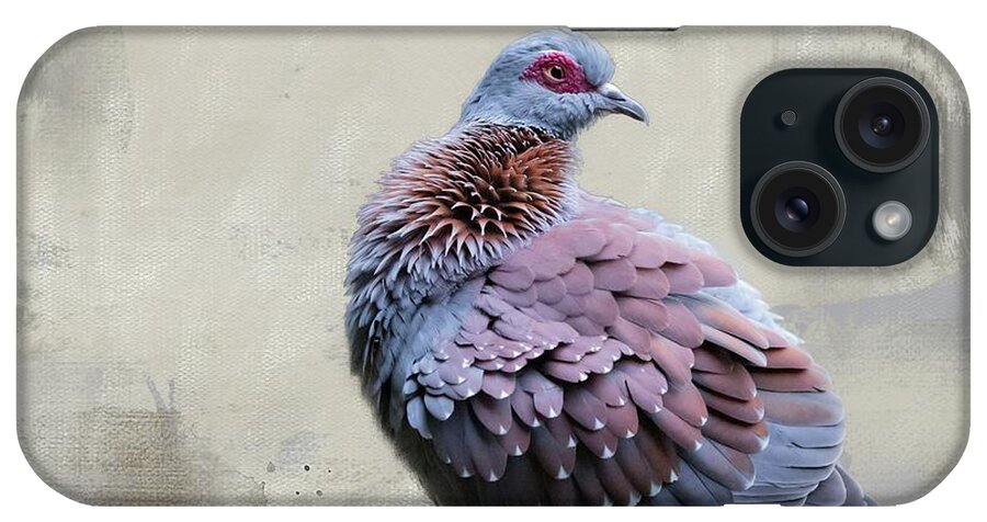 Speckled Pigeon iPhone Case featuring the photograph African Rock Pigeon by Eva Lechner
