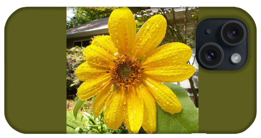 Flowers iPhone Case featuring the photograph After the Rain by Karen Stansberry