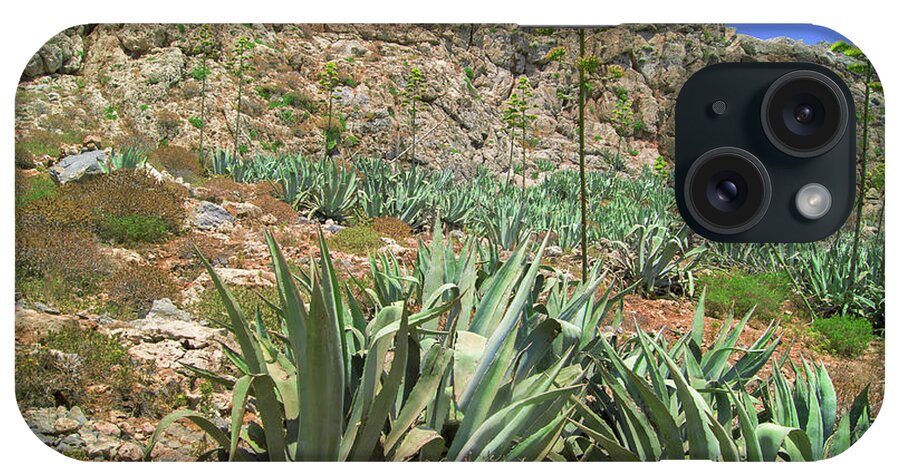 Landscape iPhone Case featuring the photograph Agave americana on Imeri Gramvousa by Sun Travels