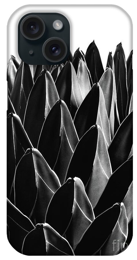 Black-and-white iPhone Case featuring the mixed media Agave Chic #7 #succulent #decor #art by Anitas and Bellas Art