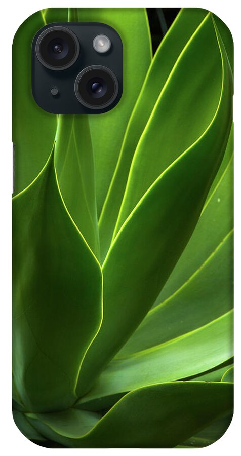 Agave iPhone Case featuring the photograph Agave Plant by Dallas Stribley