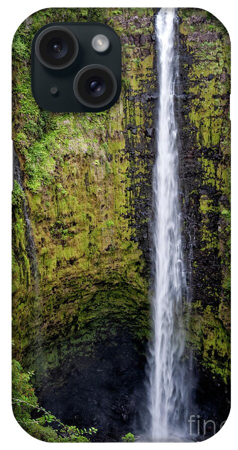 Akaka Falls State Park iPhone Case featuring the photograph Akaka Falls by Al Andersen