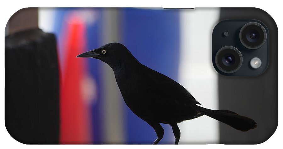 Richard Reeve iPhone Case featuring the photograph All Gone by Richard Reeve