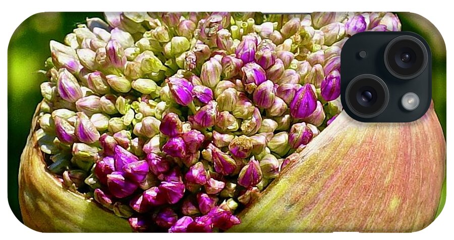 Flower iPhone Case featuring the photograph Allium Ambassador by Elisabeth Derichs