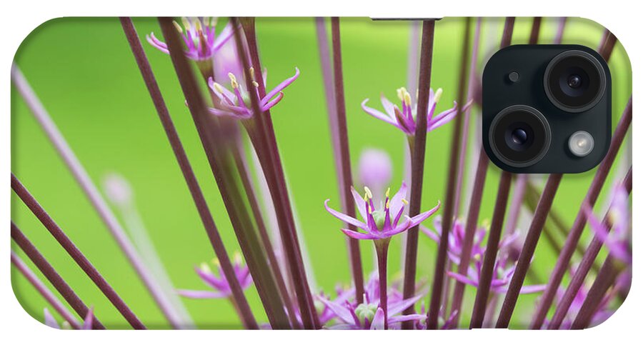 Allium Schubertii iPhone Case featuring the photograph Allium Schubertii Flowering by Tim Gainey