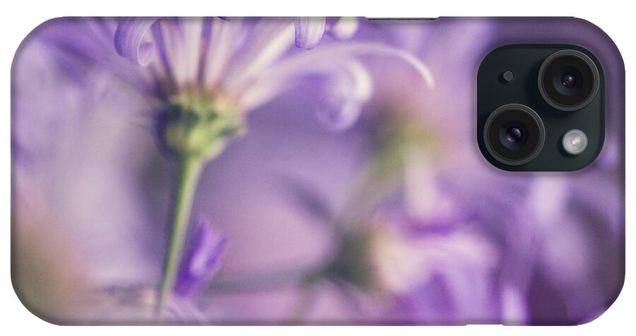 Purple iPhone Case featuring the photograph Alluring Asters by Jody Trappe Photography