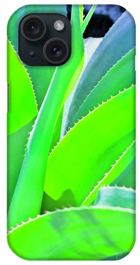 Cayman Islands iPhone Case featuring the photograph Aloe Vera by Flavio Vallenari