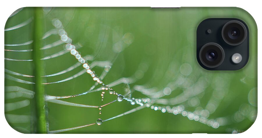 Green iPhone Case featuring the photograph Amazing by Michelle Wermuth