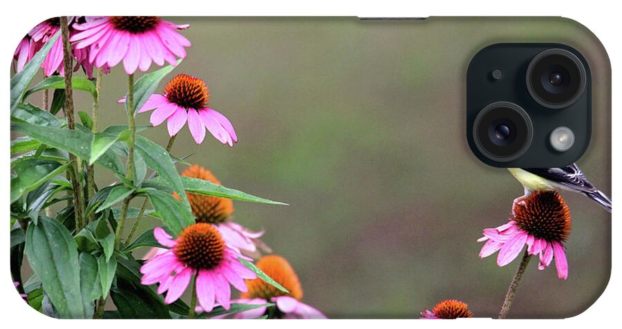 Nature iPhone Case featuring the photograph American Goldfinch on the Coneflowers by Trina Ansel
