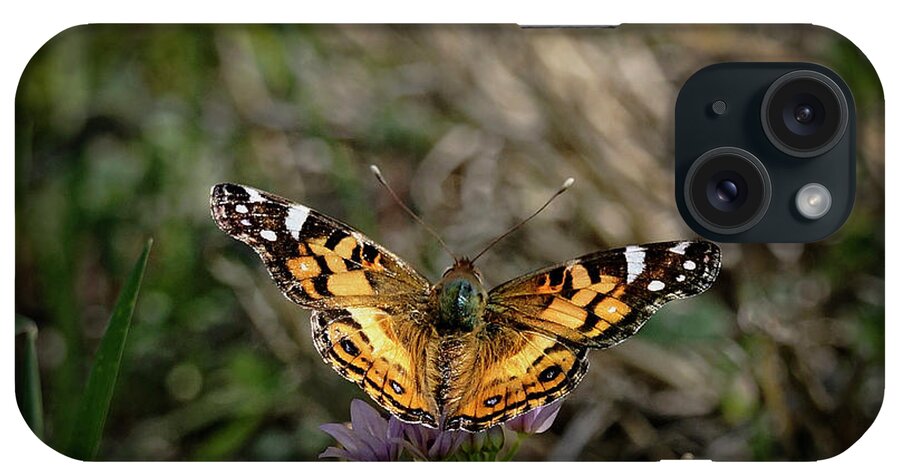 Betty Depee iPhone Case featuring the photograph American Painted Lady by Betty Depee