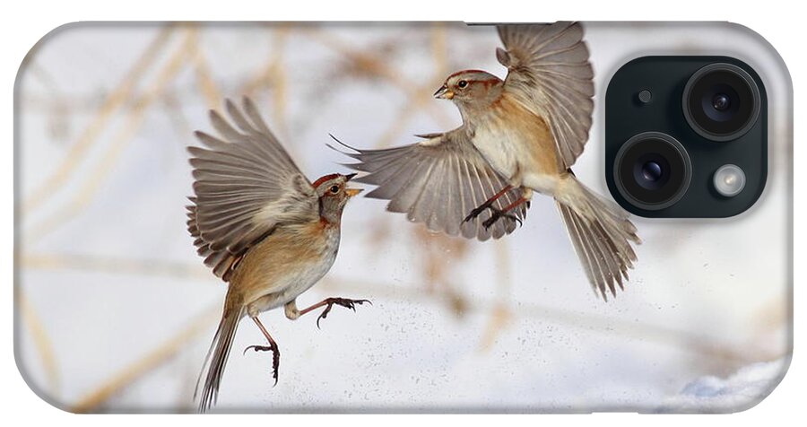 Snow iPhone Case featuring the photograph American Tree Sparrows by Alina Morozova