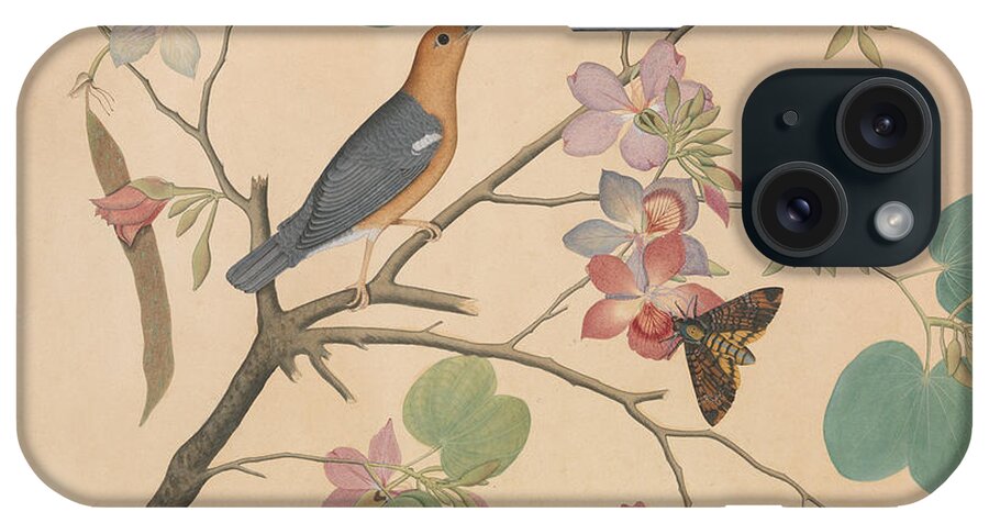 Orchid iPhone Case featuring the painting An Orange Headed Ground Thrush and a Moth on a Purple Ebony Orchid Branch, 1778 by Shaikh Zain ud-Din