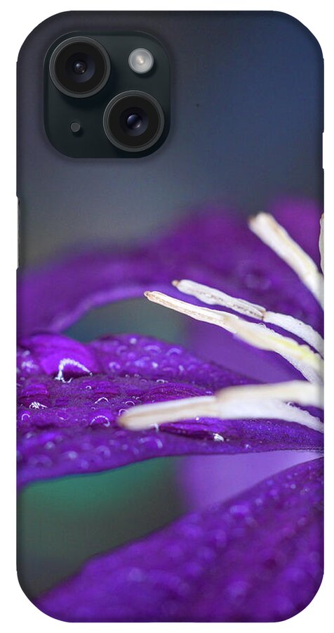 Purple iPhone Case featuring the photograph Ancient Joy by Michelle Wermuth