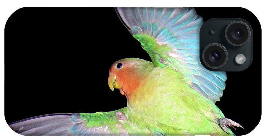 Bird iPhone Case featuring the photograph Angel Pickle by Terri Waters