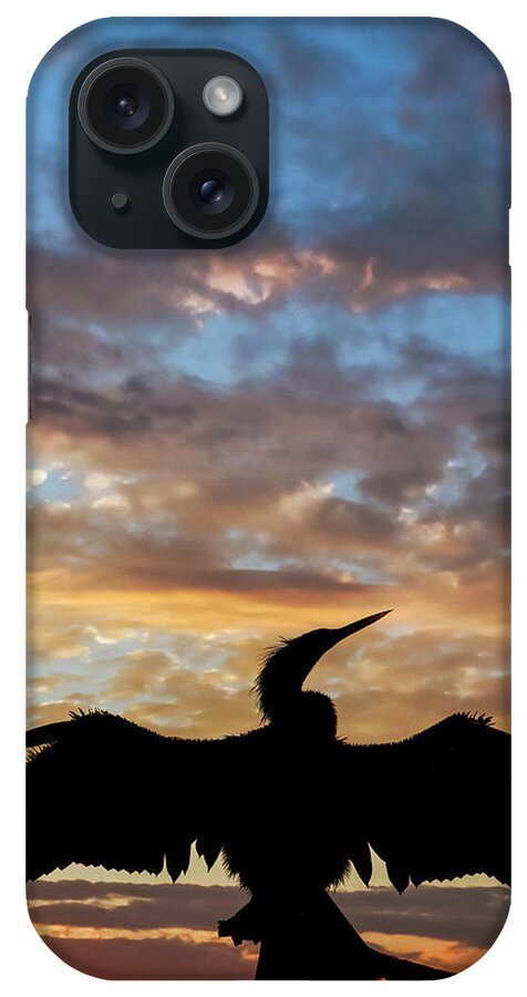 Adam Jones iPhone Case featuring the photograph Anhinga Silhouetted At Sunset, Florida by Adam Jones
