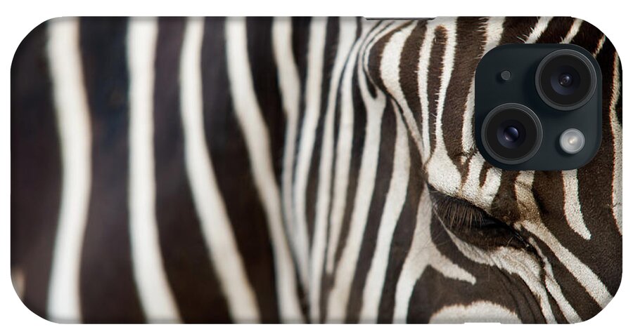 Animal Skin iPhone Case featuring the photograph Animal Zebra Stripes Black And White by Snapphoto