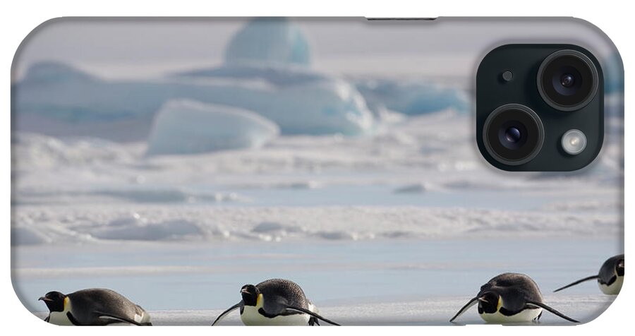 Scenics iPhone Case featuring the photograph Antarctica, Snow Hill Island, Emperor by Paul Souders